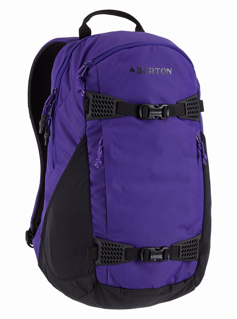 Sac à Dos Burton Day Hiker 25L Unisex Violette | 216058-WDH