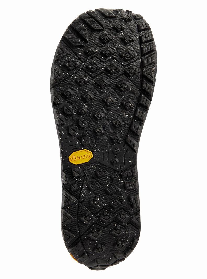 Boots Snowboard Burton Ion Step On® Homme Noir | 914607-LXC