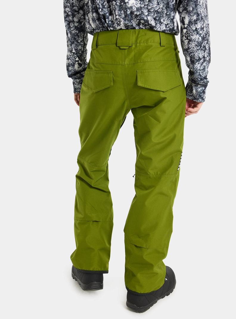 Pantalon Snowboard Burton Ballast GORE‑TEX 2L Homme Vert | 674510-IAV