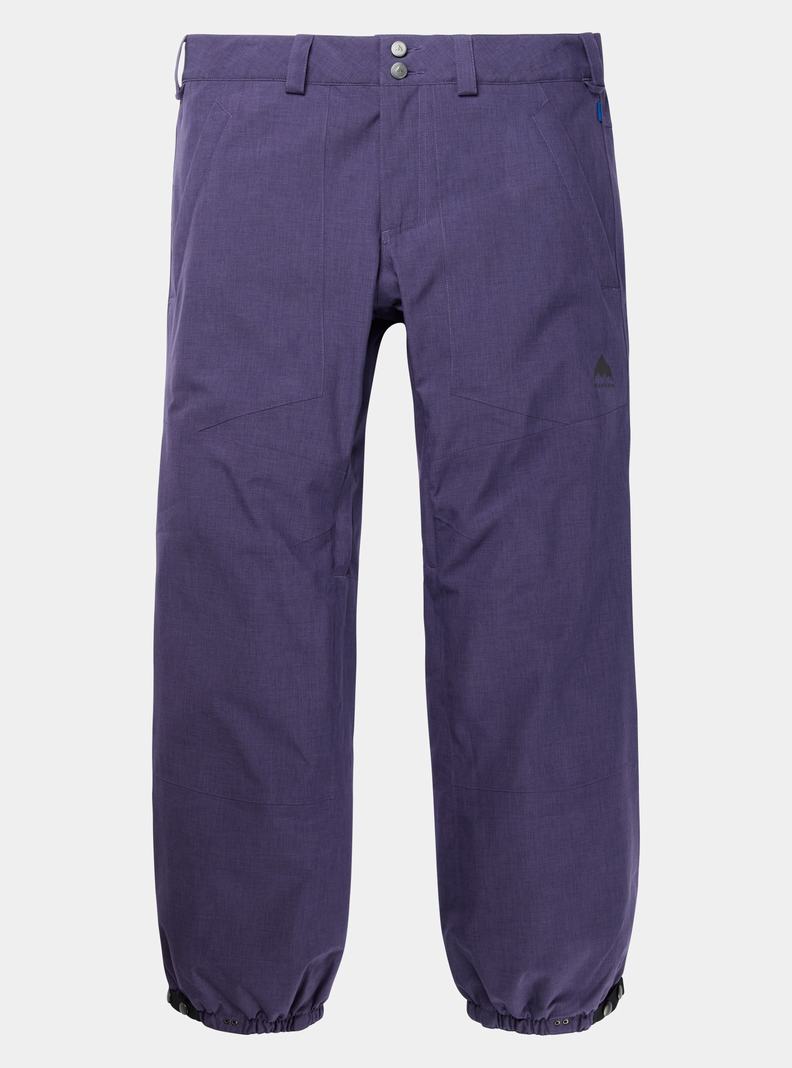 Pantalon Snowboard Burton Melter Plus 2L Homme Violette | 782490-WAT