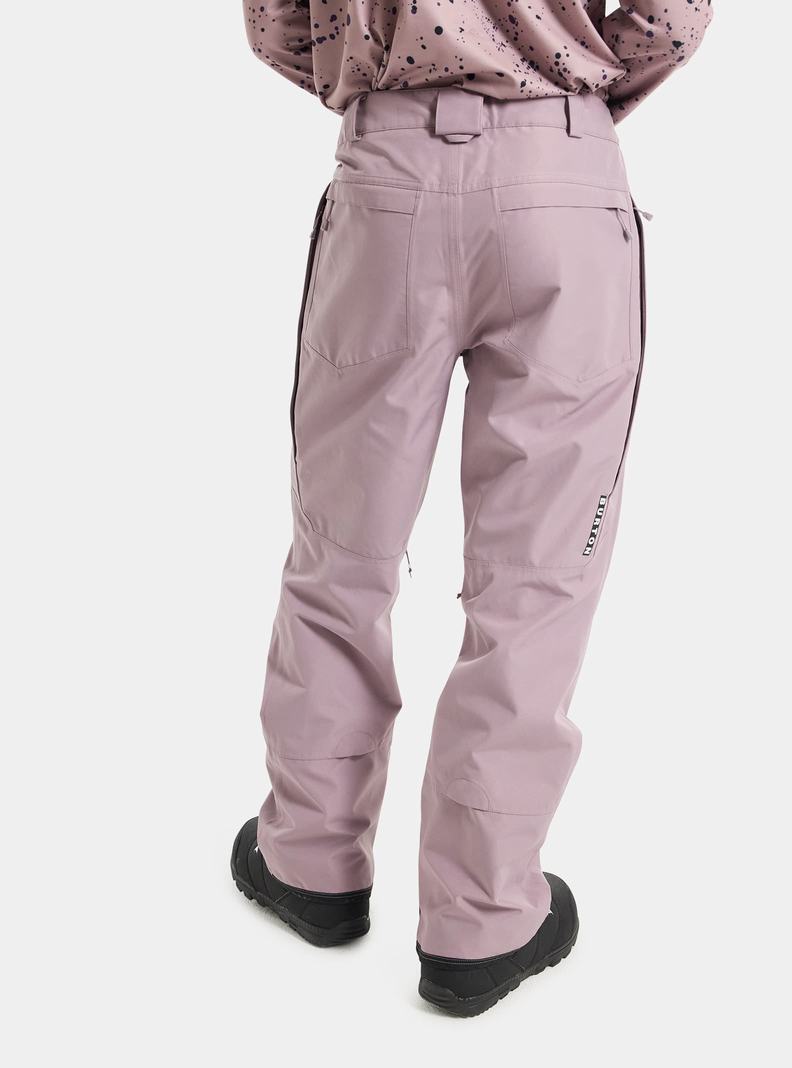 Pantalon Snowboard Burton Vent GORE-TEX 2L Homme Lavande | 850972-IBW