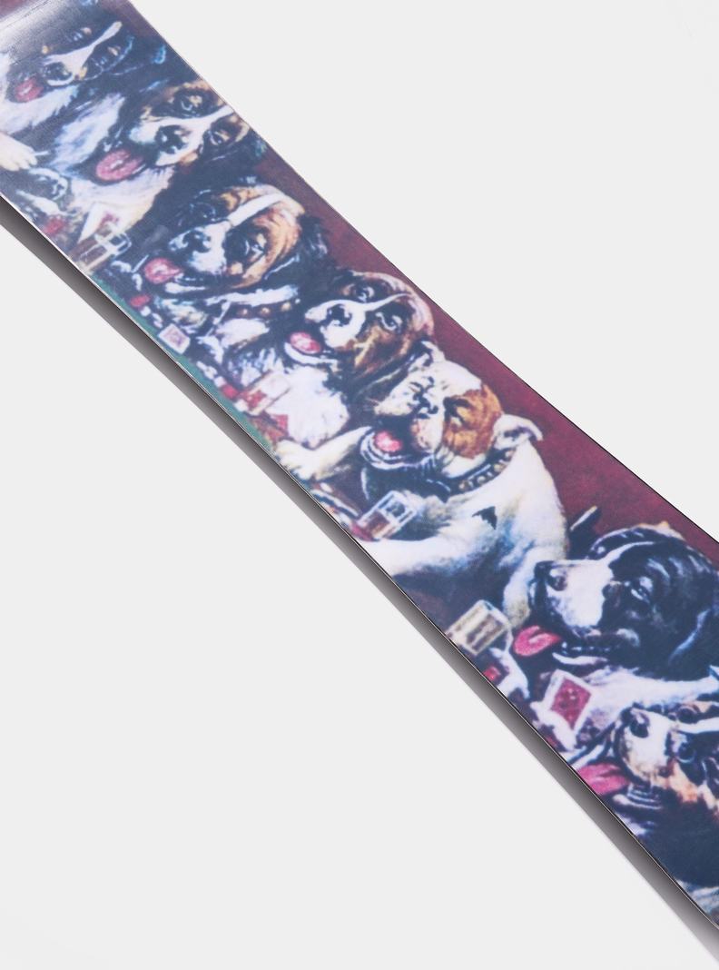Snowboards Burton Good Company Camber Femme | 207631-FWZ