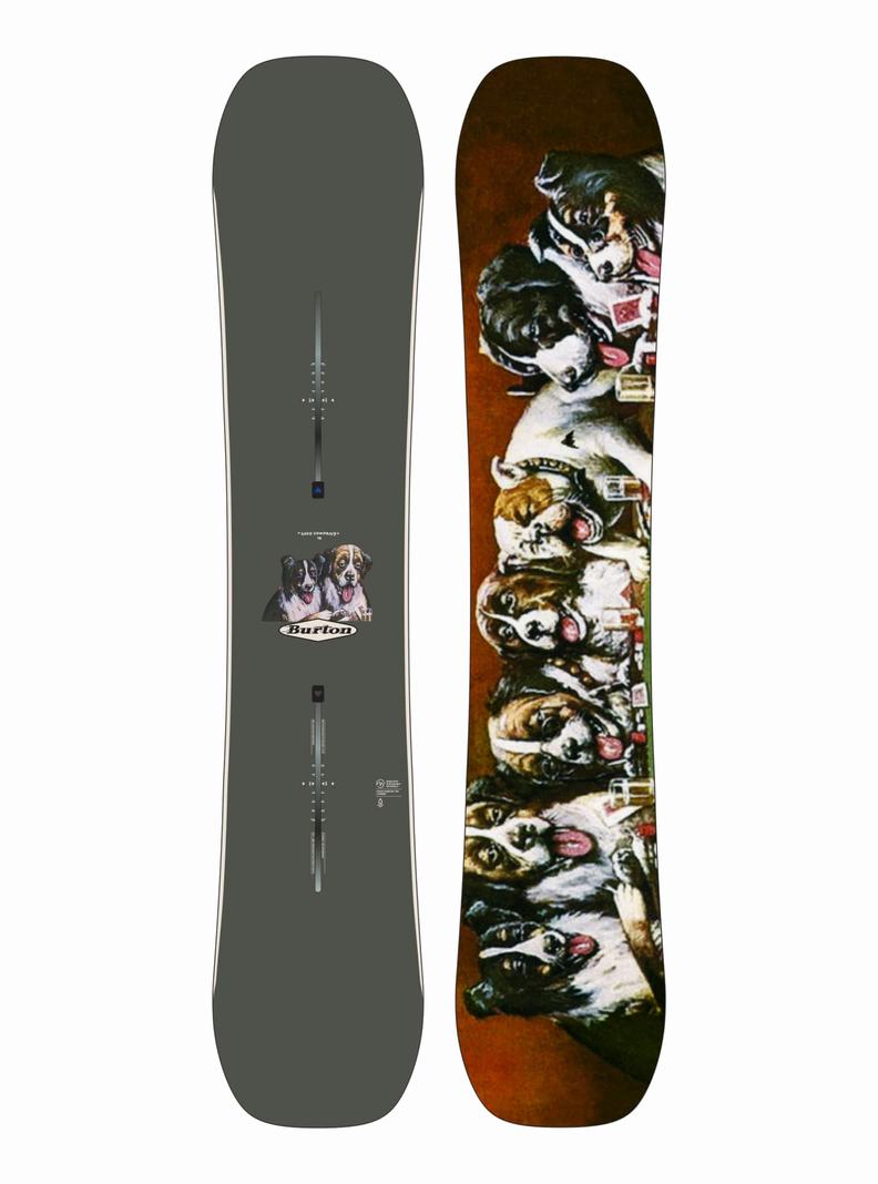 Snowboards Burton Good Company Camber Femme | 207631-FWZ