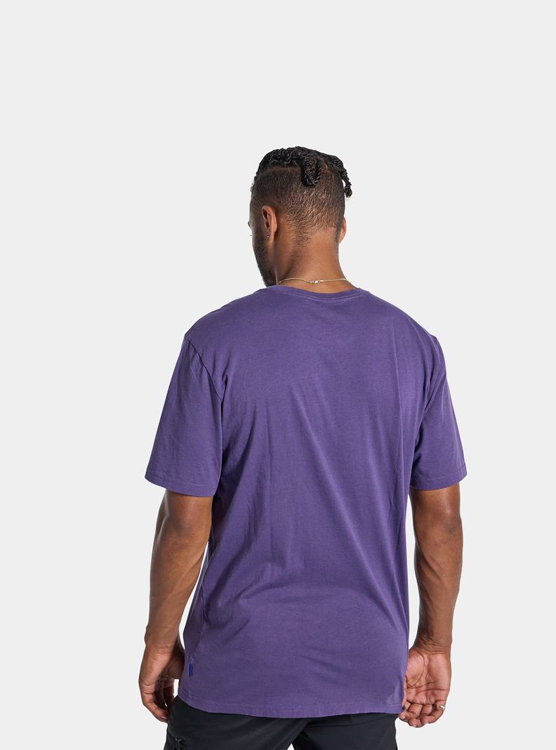 T-shirts Burton Colfax Corta Sleeve Homme Violette | 510296-QPF