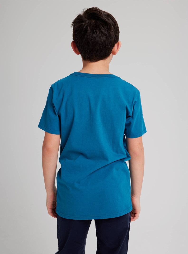T-shirts Burton Pinecrest Corta Sleeve Enfant Bleu | 932684-FHT